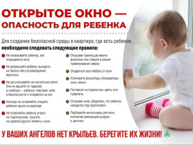 Профилактика гибели и травматизма несовершеннолетних в результате падения из окон в Республике Коми..